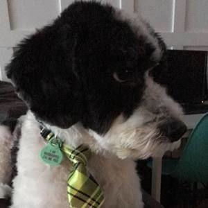 Meet your Posher, Claudine